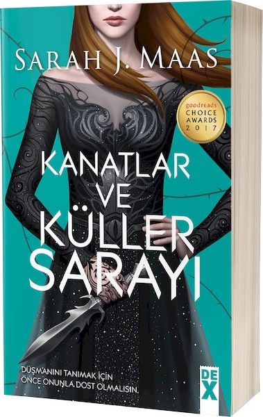 Kanatlar ve Küller Sarayı