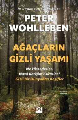 Ağaçların Gizli Yaşamı Ne Hissederler, Nasıl İletişim Kurarlar Gizli Bir Dünyadan Keşifler