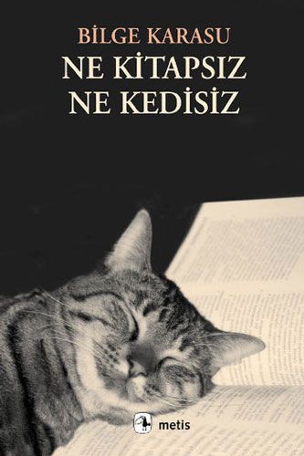 Ne Kitapsız Ne Kedisiz