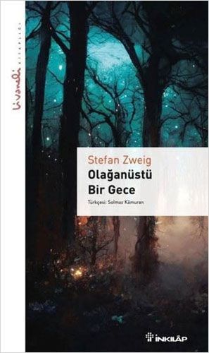 Olağanüstü Bir Gece