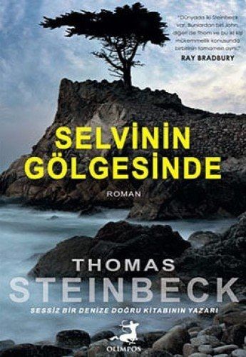 Selvinin gölgesinde