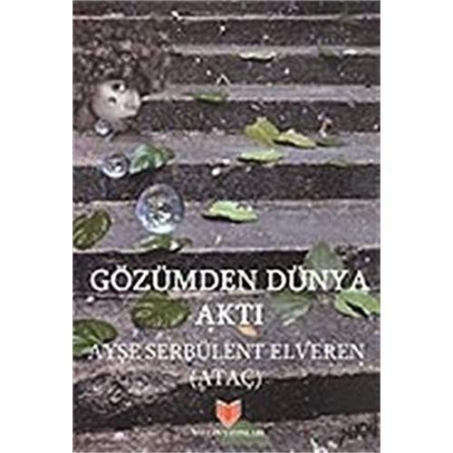 Gözümden Dünya Aktı