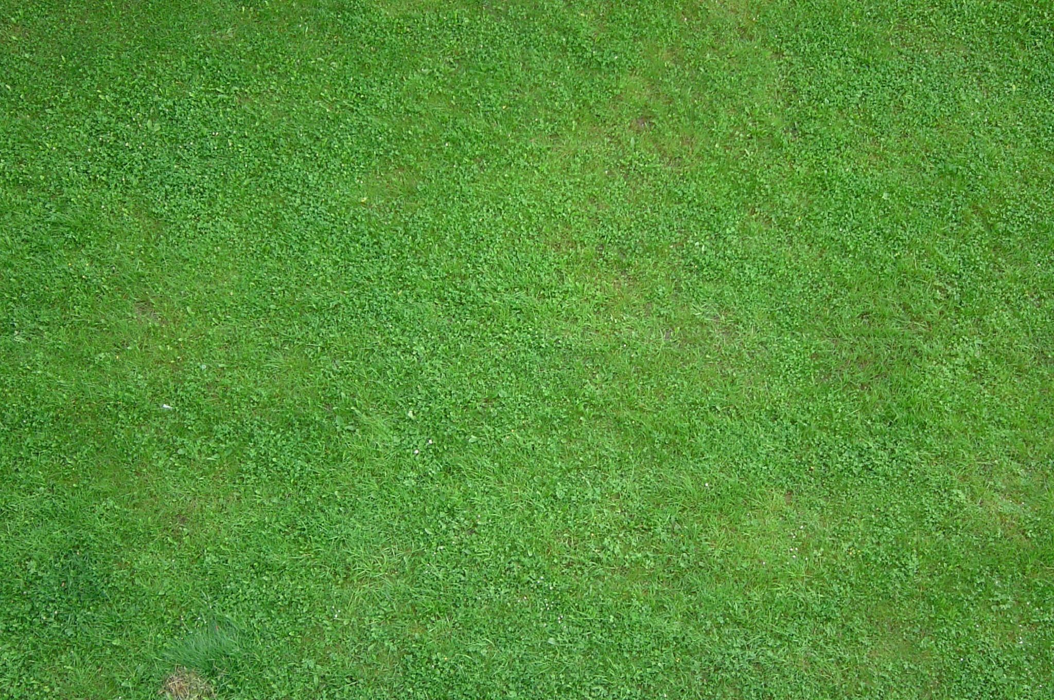 Touch some Grass (itch)