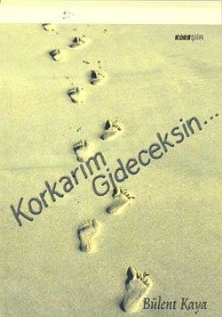Korkarım gideceksin şiirler