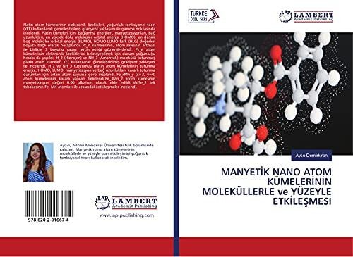 MANYETİK NANO ATOM KÜMELERİNİN MOLEKÜLLERLE ve YÜZEYLE ETKİLEŞMESİ