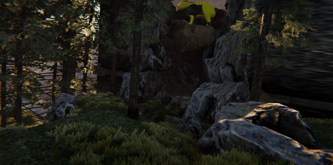 Valora Survival