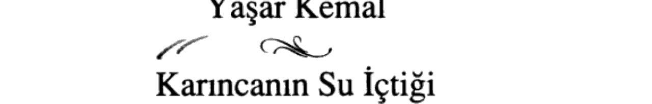 Karıncanın Su İçtiği