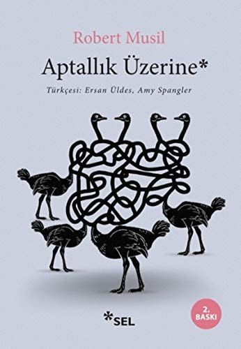 Aptallık Üzerine