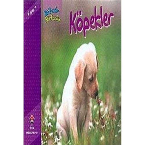 Bir Zamanlar Korkardım Köpekler