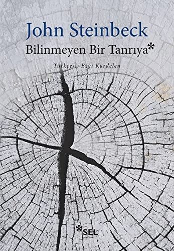 Bilinmeyen Bir Tanriya