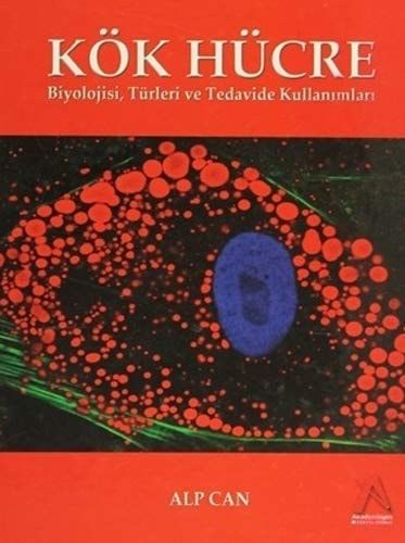 Kök Hücre