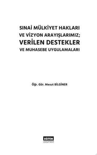 Sınai Mülkiyet Hakları ve Vizyon Arayışlarımız; Verilen Destekler ve Muhasebe Uygulamaları