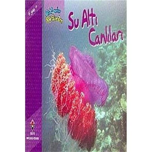Bir Zamanlar Korkardım Su Altı Canlıları