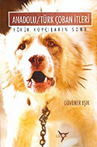 Anadolu/Türk Çoban İtleri Yörük Koyçıların Sonu