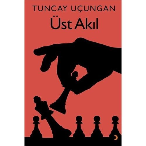 Üst Akil