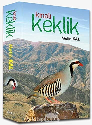 Kinali Keklik