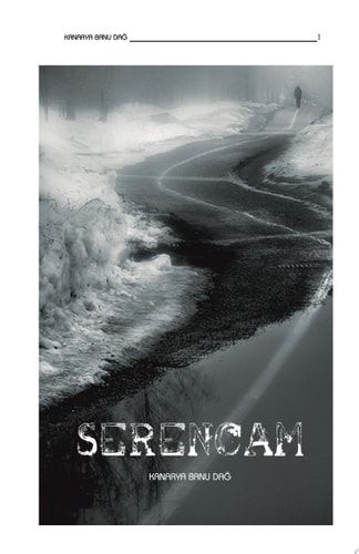 Serencam