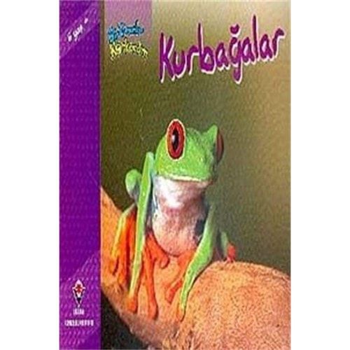 Bir Zamanlar Korkardım - Kurbağalar