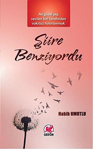 Şiire Benziyordu