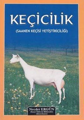 Kecicilik