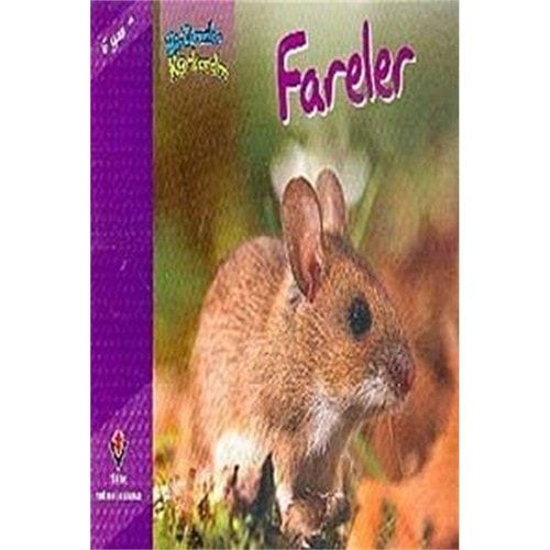 Bir Zamanlar Korkardım Fareler