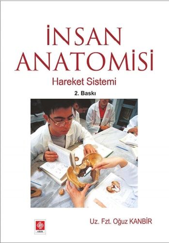 Insan Anatomisi Hareket Sistemi