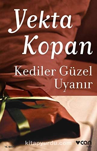 Kediler Güzel Uyanır