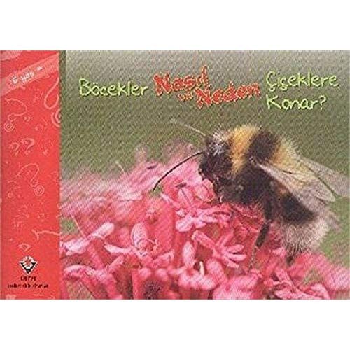 Böcekler Nasıl ve Neden Çiçeklere Konar?