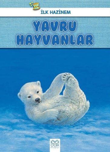 Ilk Hazinem Yavru Hayvanlar