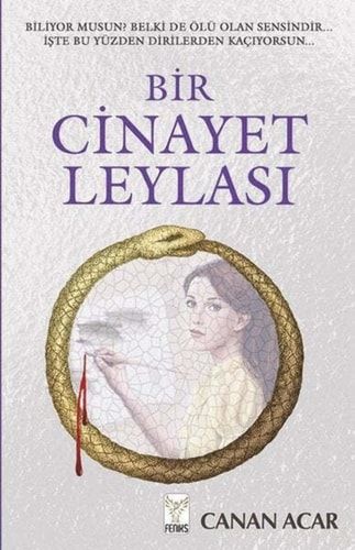 Bir Cinayet Leylasi