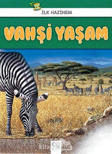 Vahsi Yasam - Ilk Hazinem