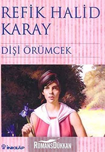 Dişi Örümcek