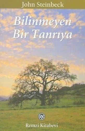 Bilinmeyen Bir Tanriya