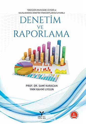 Tekdüzen Muhasebe Sistemi ve Uluslararası Denetim Standartları ile Uyumlu Denetim ve Raporlama