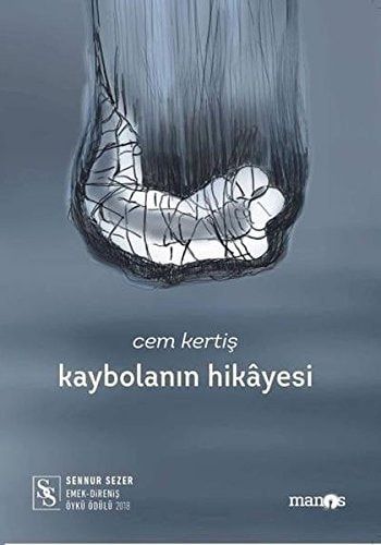 Kaybolanin Hikyesi