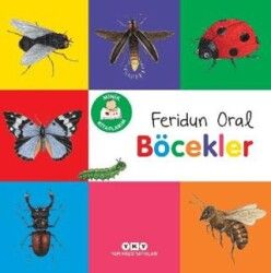 Minik Kitaplarım Böcekler