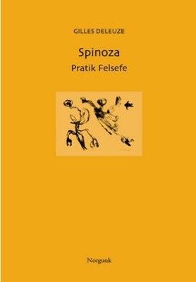 Spinoza pratik felsefe