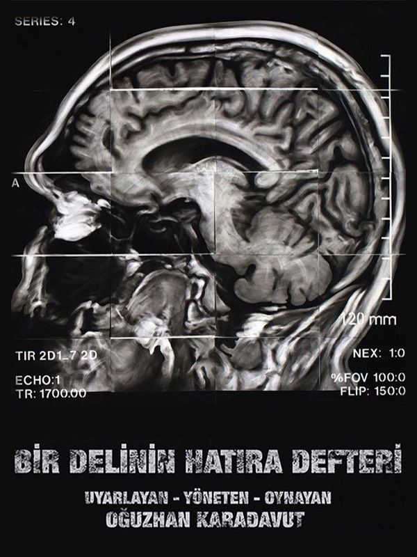 BİR DELİNİN HATIRA DEFTERİ